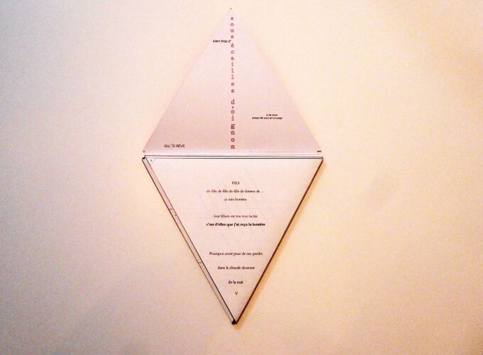 Livre Triangle 02.jpg