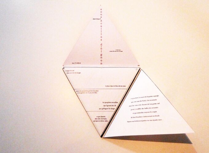 Livre Triangle 03.jpg