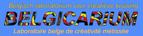 Logo du Belgicarium P.jpg