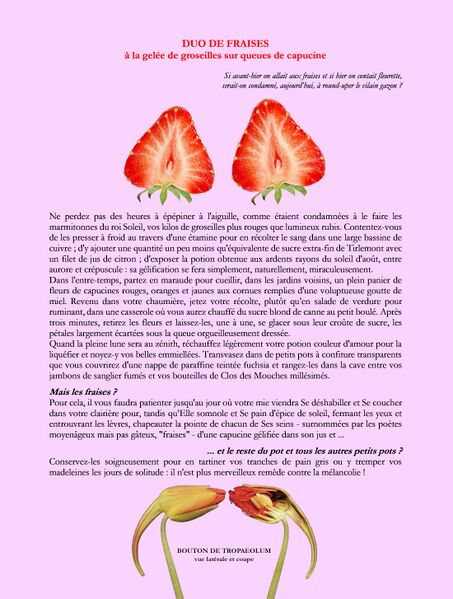 Fichier:Page duo de fraises pour B.jpg