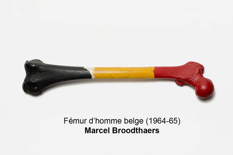 Fémur d'homme belge Broodthaerts.jpg